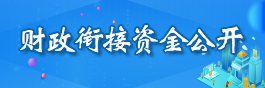 財(cái)政銜接資金公開(kāi)